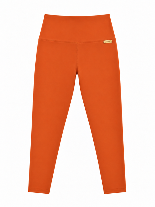 PHURAL Made For More Leggings in Pumpkin Spice — pocket-free rear view